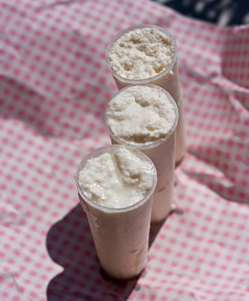 Fresh Brousse de Chevre