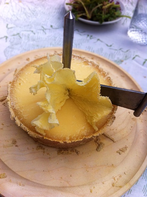 Tête de Moine cheese