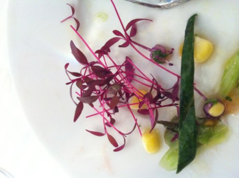 Plate of Scarlet Cress